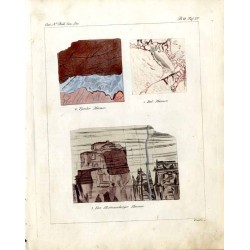 Oesterreichisches naturhistorisches Bilder-Conversations-Lexicon. Ein unentbehrliches Handbuch zur Verbreitung gemeinnütziger Ke
