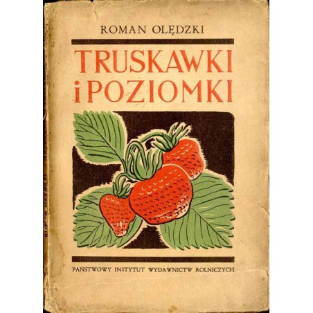 Truskawki i poziomki
