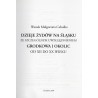 Dzieje Żydów na Śląsku ze szczególnym uwzględnieniem Grodkowa i okolic od XII do XX wieku