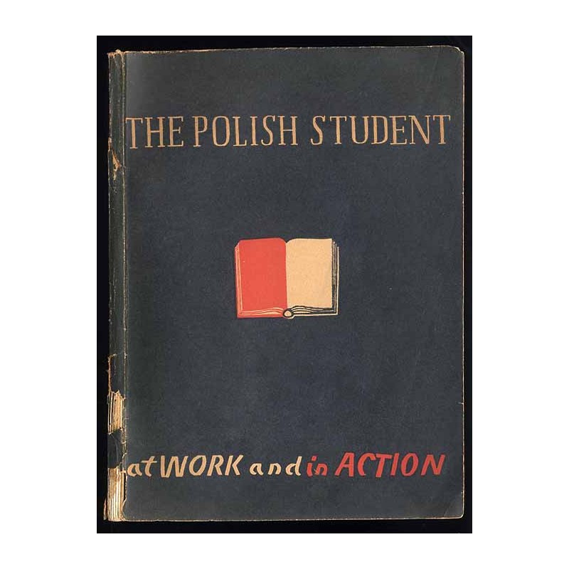 Polish student at work and in action