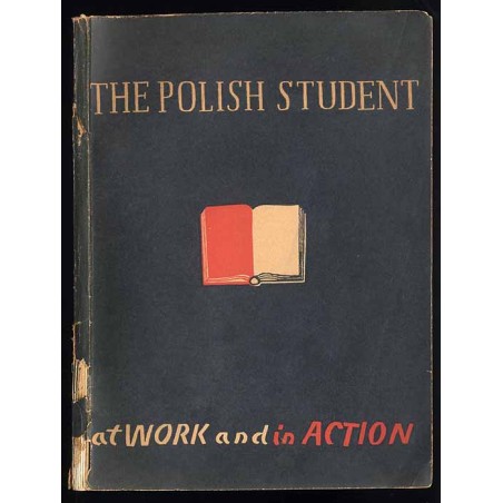 Polish student at work and in action