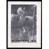 VI Ogólnopolski przegląd filmów, fotografii i przezroczy o ochronie przyrody "Biosfera '83", Puławy, 18-20.11.1983 r