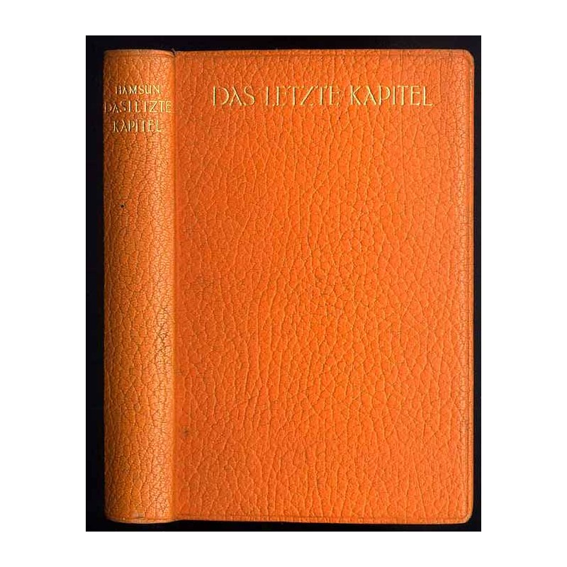 Das letzte Kapitel. Roman