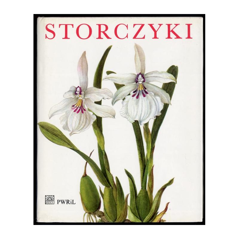 Storczyki