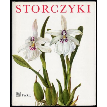Storczyki