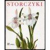 Storczyki