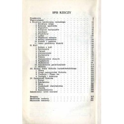 Kościół rzymsko-katolicki