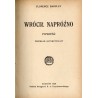 Wrócił napróżno. Powieść