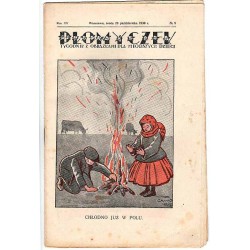 Płomyczek. Tygodnik z obrazkami dla młodszych dzieci. R.15 (1930). Nr 9 (29 października 1930)