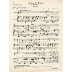 Lied an die Hirtin. (Rusticanella.) (Canzone.)