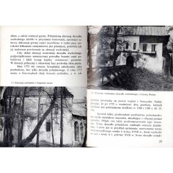 Zamek w Kurozwękach