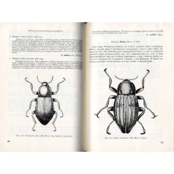 Klucze do oznaczania owadów Polski. Cz.19: Chrząszcze - Coleoptera. Z.48-49: Parnidae, Limniidae, Psephenidae