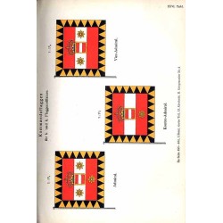 Handbuch des Österreichisch-Ungarischen Konsularwesens nebst einem Anhange. Band 1. Konsularwesen