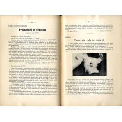 "Hejnał". Miesięcznik wiedzy duchowej. R. 10 (1938). Z. 10 (Październik 1938)