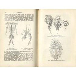 Die Wunder des Mikroskops oder die Welt im kleinsten Raume. Für freunde der Natur und mit Berücksichtigung der studirenden Jugen