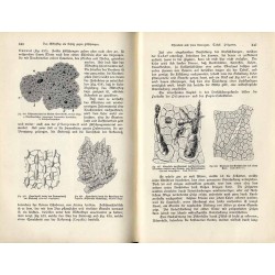 Die Wunder des Mikroskops oder die Welt im kleinsten Raume. Für freunde der Natur und mit Berücksichtigung der studirenden Jugen