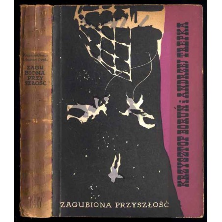 Zagubiona przyszłość