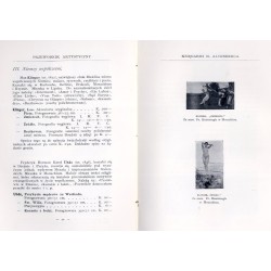 Przewodnik artystyczny. Katalog dzieł mistrzów klasycznych i współczesnych obcych i polskich w reprodukcyach na składzie w Księg