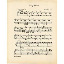 Accelerationen. Walzer. Op. 234