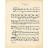 Accelerationen. Walzer. Op. 234