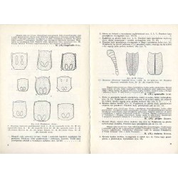 Klucze do oznaczania owadów Polski. Cz.19: Chrząszcze - Coleoptera. Z.63: Monotomide
