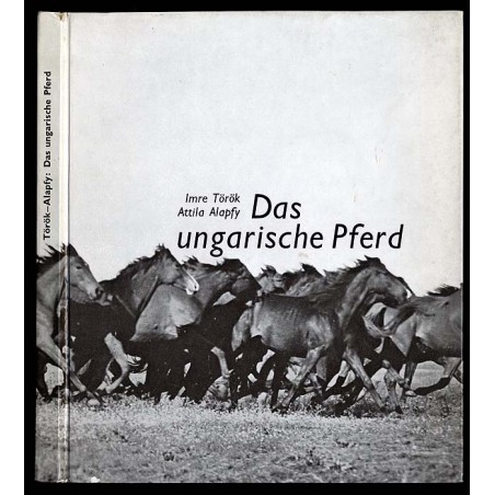 Das ungarische Pferd