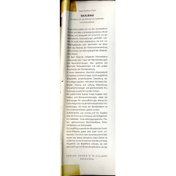 Saalbau. Handbuch für die Planung von Saalbauten. Säle für Versammlungen, Konzerte, Vorführungen und Feste, Aula-, Kasino- und M
