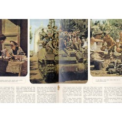 Válka v Obrazech. 1943. Nr 42 (Prosinec (Grudzień) 1943)