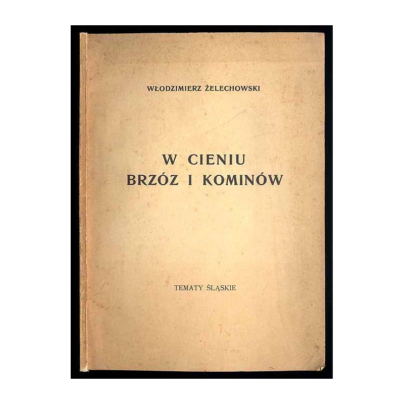 W cieniu brzóz i kominów