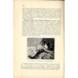 Przyroda i Technika. Czasopismo, poświęcone popularyzacji nauk przyrodniczych i technicznych. R.13 (1934). Z. 10 (Grudzień 1934)