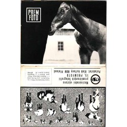 Mezinárodí výstava premiérových fotografii 15. Premfoto