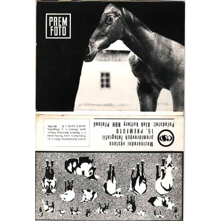 Mezinárodí výstava premiérových fotografii 15. Premfoto