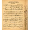 "Mondnacht in Rio de Janerio." Tango-Serenata