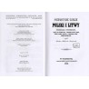 Pierwotne dzieje Polski i Litwy zewnętrzne i wewnętrzne, z uwagą na ościenne kraje, a mianowicie na Ruś, Węgry, Czechy i Niemcy,