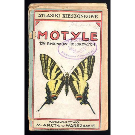 Motyle. 129 rysunków kolorowych
