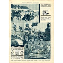 Ilustrowany Kurier Codzienny (Dodatek). R.8 (1932). Nr 15 (366). Dodatek do Nr 93 "Ilustrowanego Kuriera Codziennego" z dnia 4 k