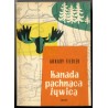 Kanada pachnąca żywicą