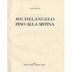 Michelangelo fino alla Sistina