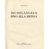 Michelangelo fino alla Sistina