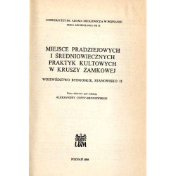 Miejsce pradziejowych i średniowiecznych praktyk kultowych w Kruszy Zamkowej. Województwo bydgoskie, stanowisko 13