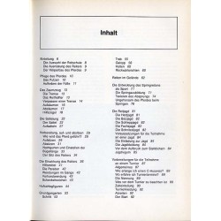 Reiten. Theoretische Anleitung für Dressur und Springen