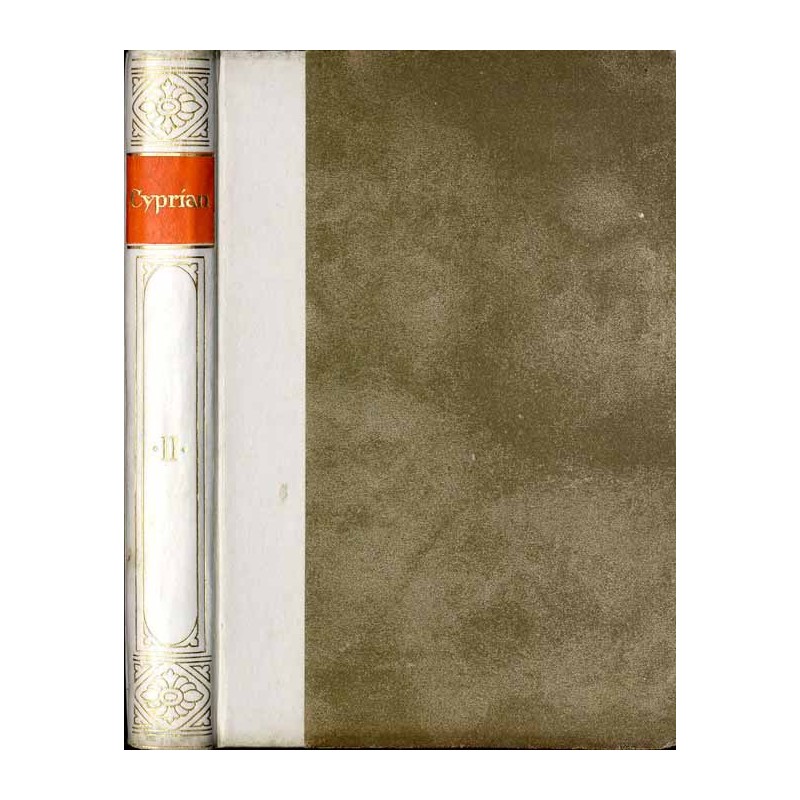 Bibliothek der Kirchenväter. Eine Auswahl Patristischer Werke in deutscher übersetzung. Reihe 1. B. 60:  Des heiligen Kirchenvat