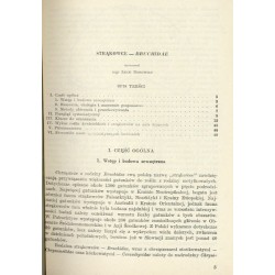 Klucze do oznaczania owadów Polski. Cz.19: Chrząszcze - Coleoptera. Z.93: Strąkowce - Bruchidae