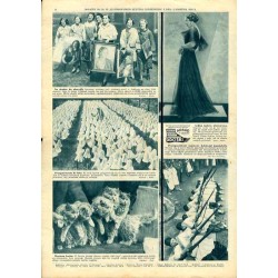 Ilustrowany Kurier Codzienny. Bezpłatny dodatek tygodniowy "Ilustrowanego Kuriera Codziennego" do nr 93. R.9 (1933). Nr 14 (427)