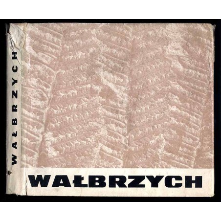 Wałbrzych. Historia. Współczesność. Perspektywy