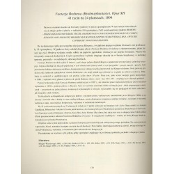 Graficzne cykle Maxa Klingera. Kobieta, Eros, Śmierć