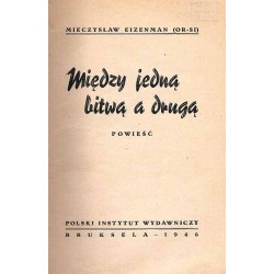 Między jedną bitwą a drugą. Powieść