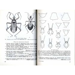 Klucze do oznaczania owadów Polski. Cz.18: Pluskwiaki różnoskrzydłe - Heteroptera. Z.7: Nabidae, Reduviidae i Phymatidae