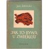 Jak to bywa u zwierząt