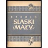Beskid Śląski i Mały. Tereny narciarskie